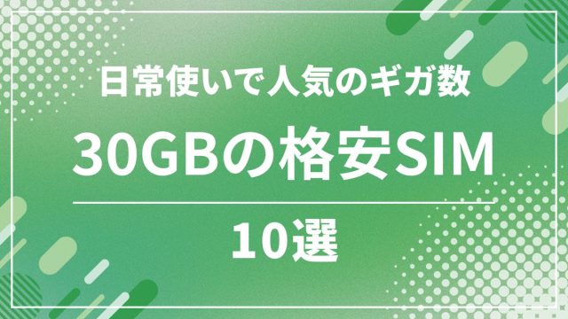 格安SIM30GB比較10選