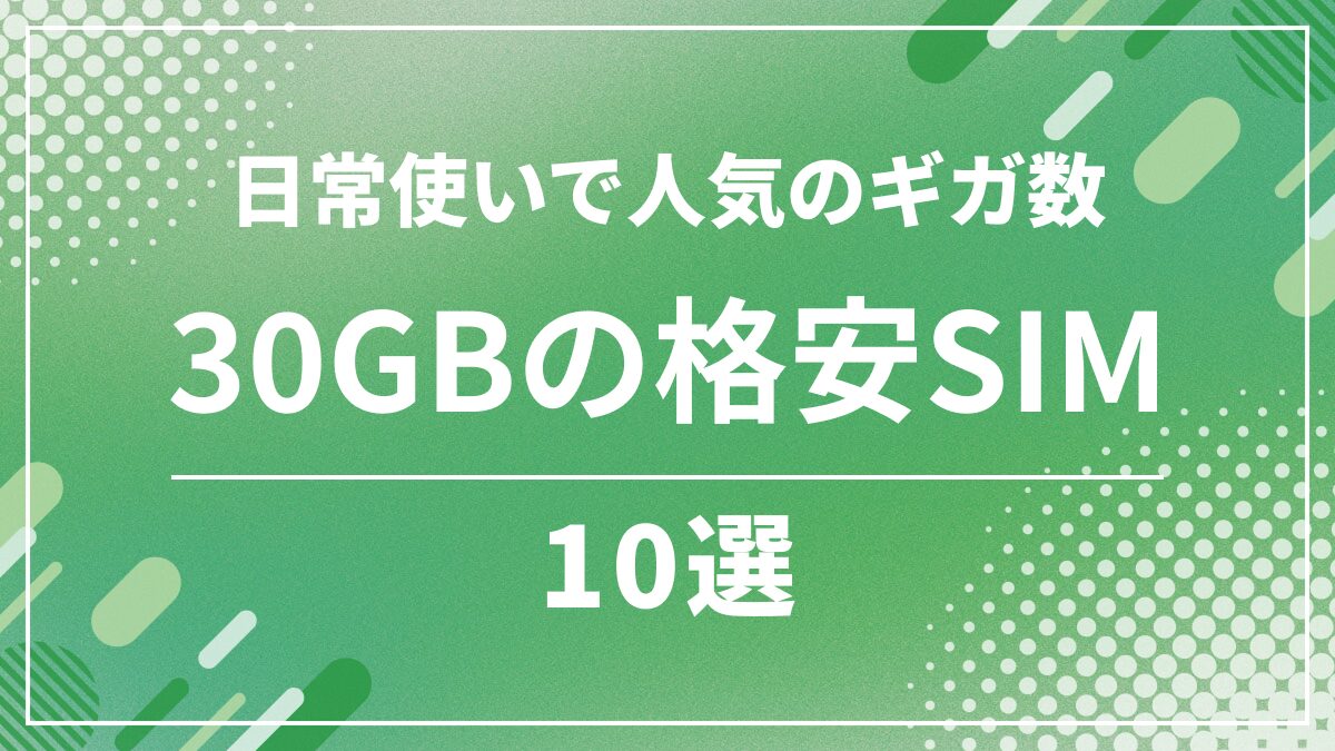 格安SIM30GB比較10選