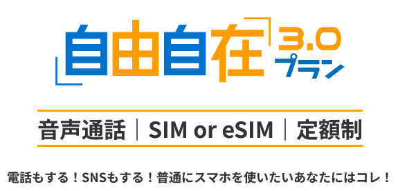 HISモバイル 自由自在3.0